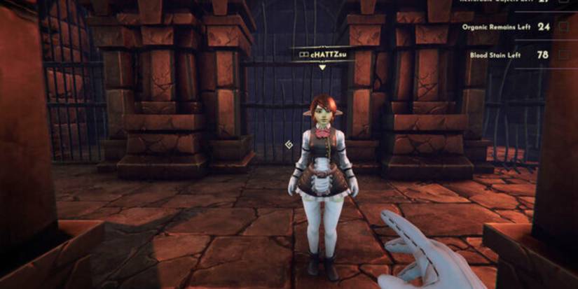 Goblin Cleanup cleaner character