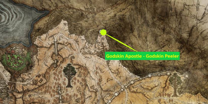 Elden Ring: Godskin Apostle location on the map