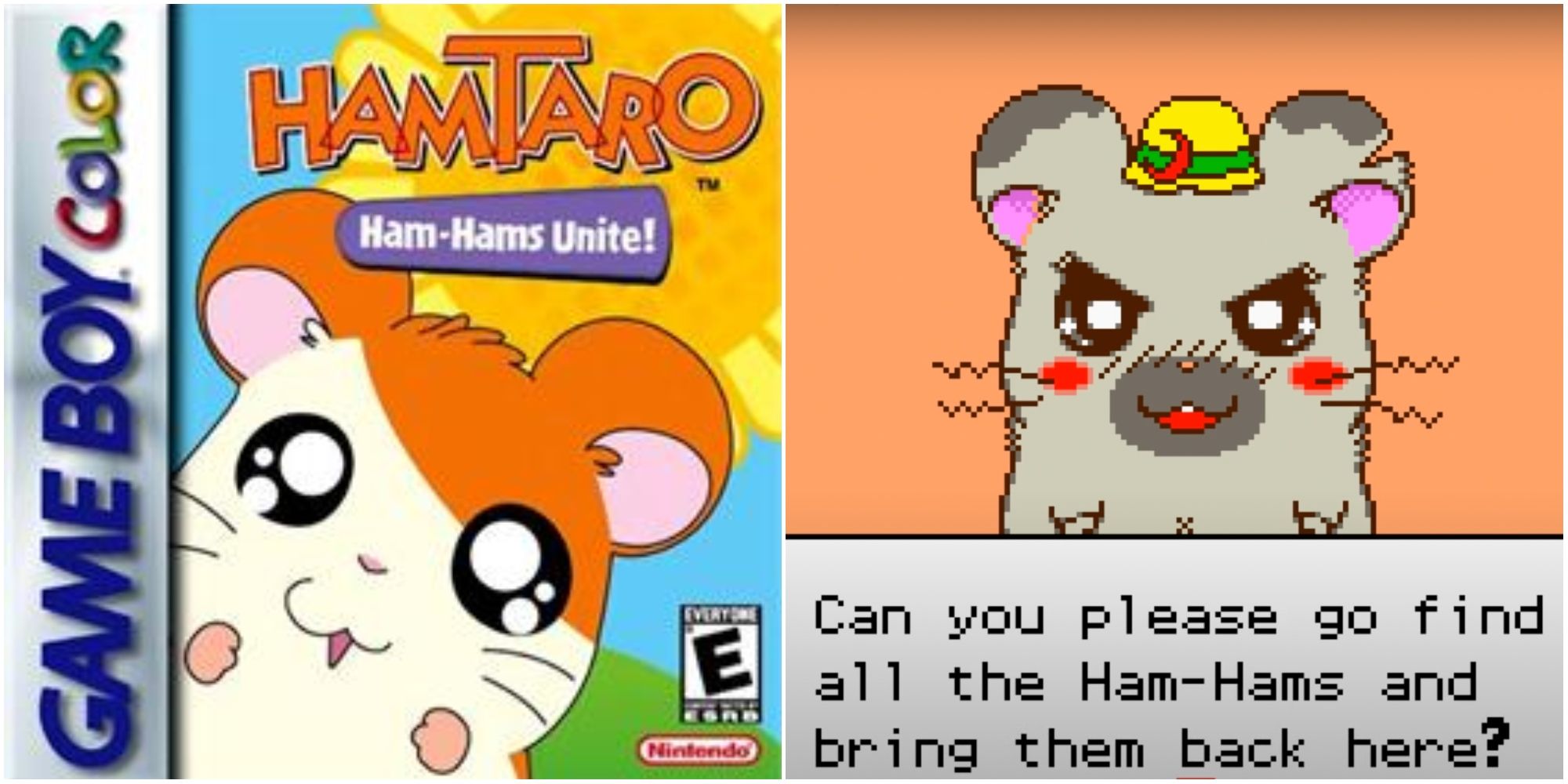 Hamtaro being given a mission to find all the Ham-Hams