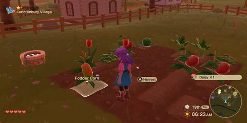 Harvest Moon The Winds of Anthos Fodder Corn