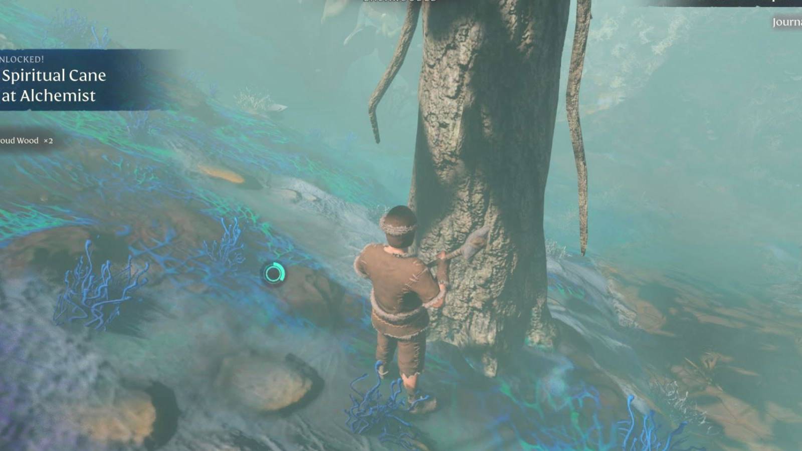 shroud tree enshrouded