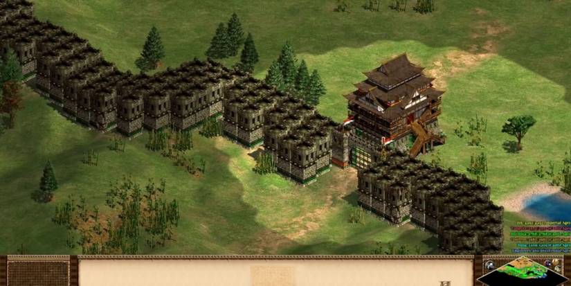 A huge wall in Chinese architecture style in Age Of Empires 2