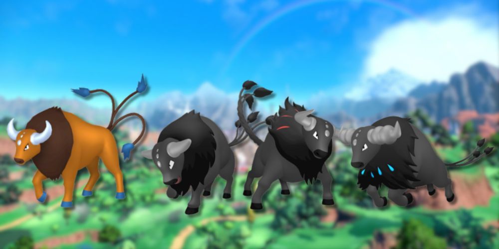 Kantonian Tauros and the three breeds of Paldean Tauros.