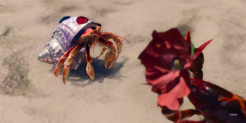 lad8-nancy-gifting-olivia-a-flower