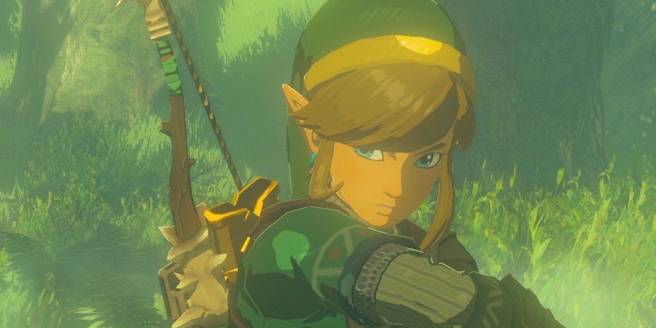Legend of Zelda Breath of the Wild Hero of Time