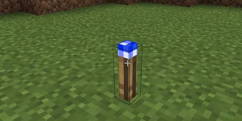 Minecraft Education Color Torch