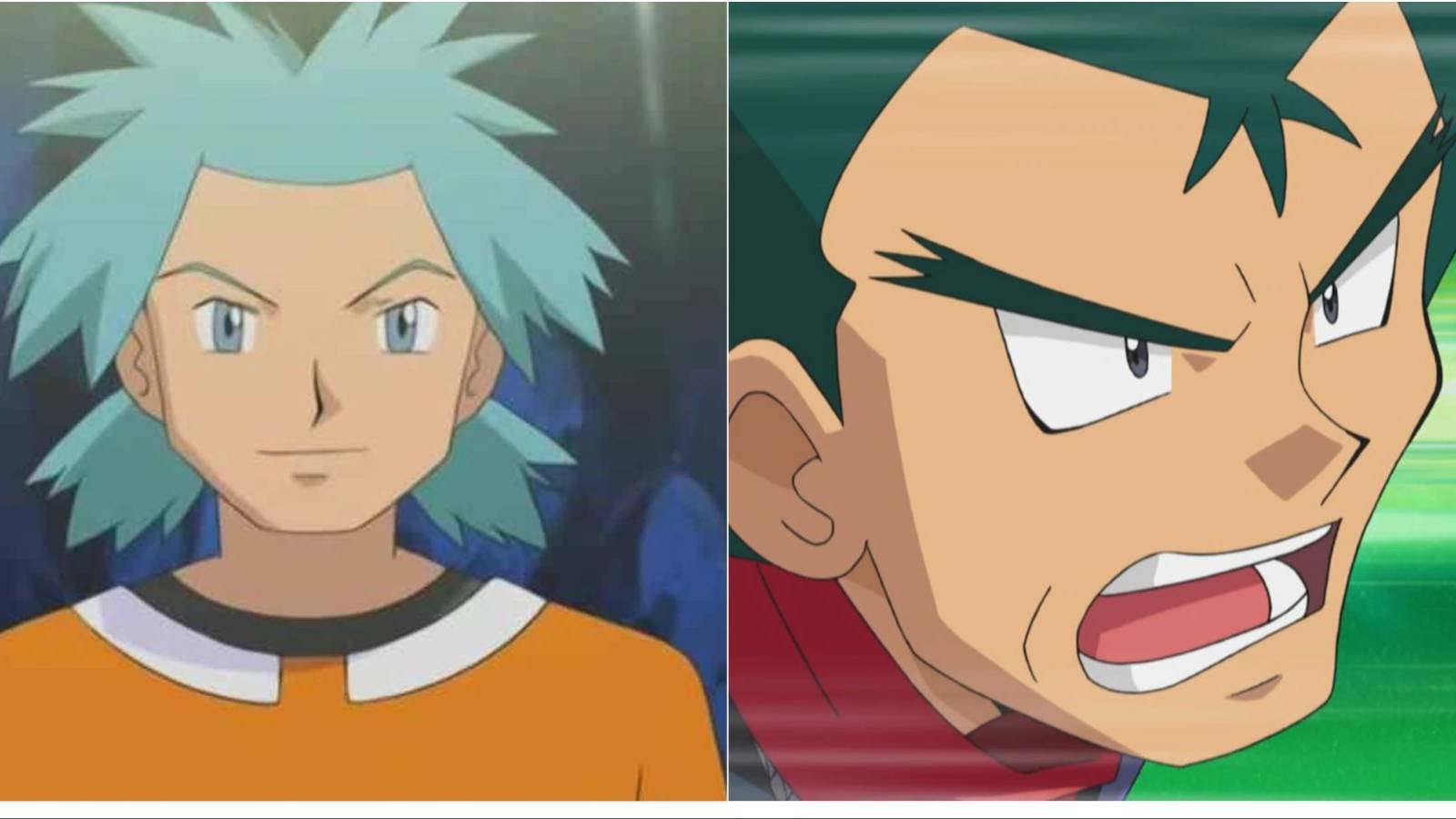 Pokemon Brawly And Koga