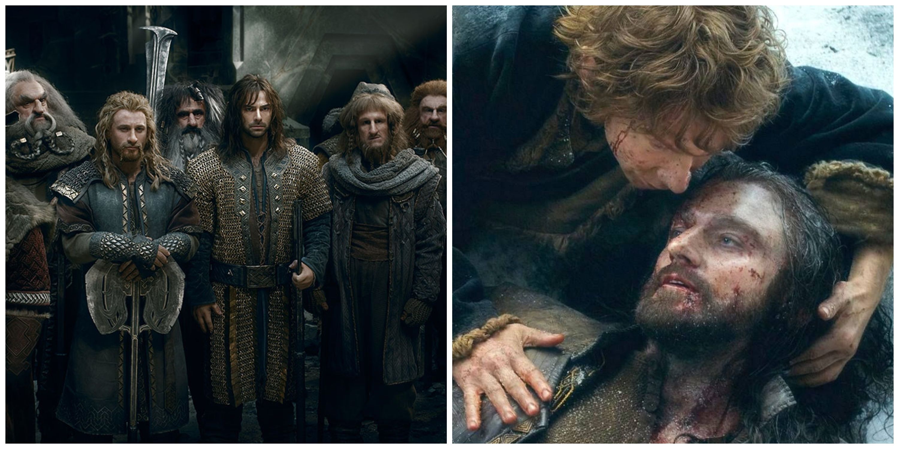 the dwarves of thorin's company and bilbo baggings