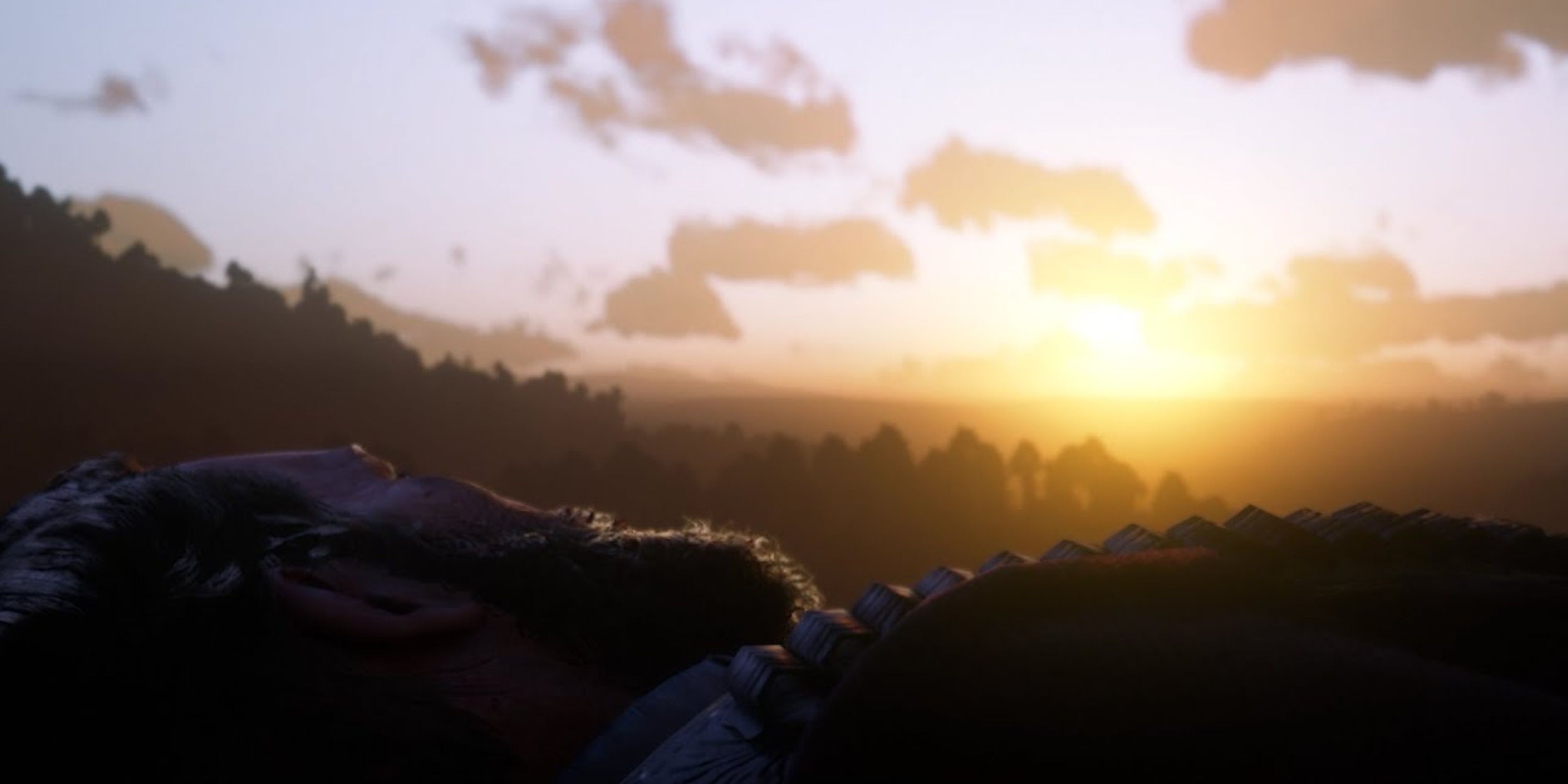 arthur morgan looking out to his last sunrise