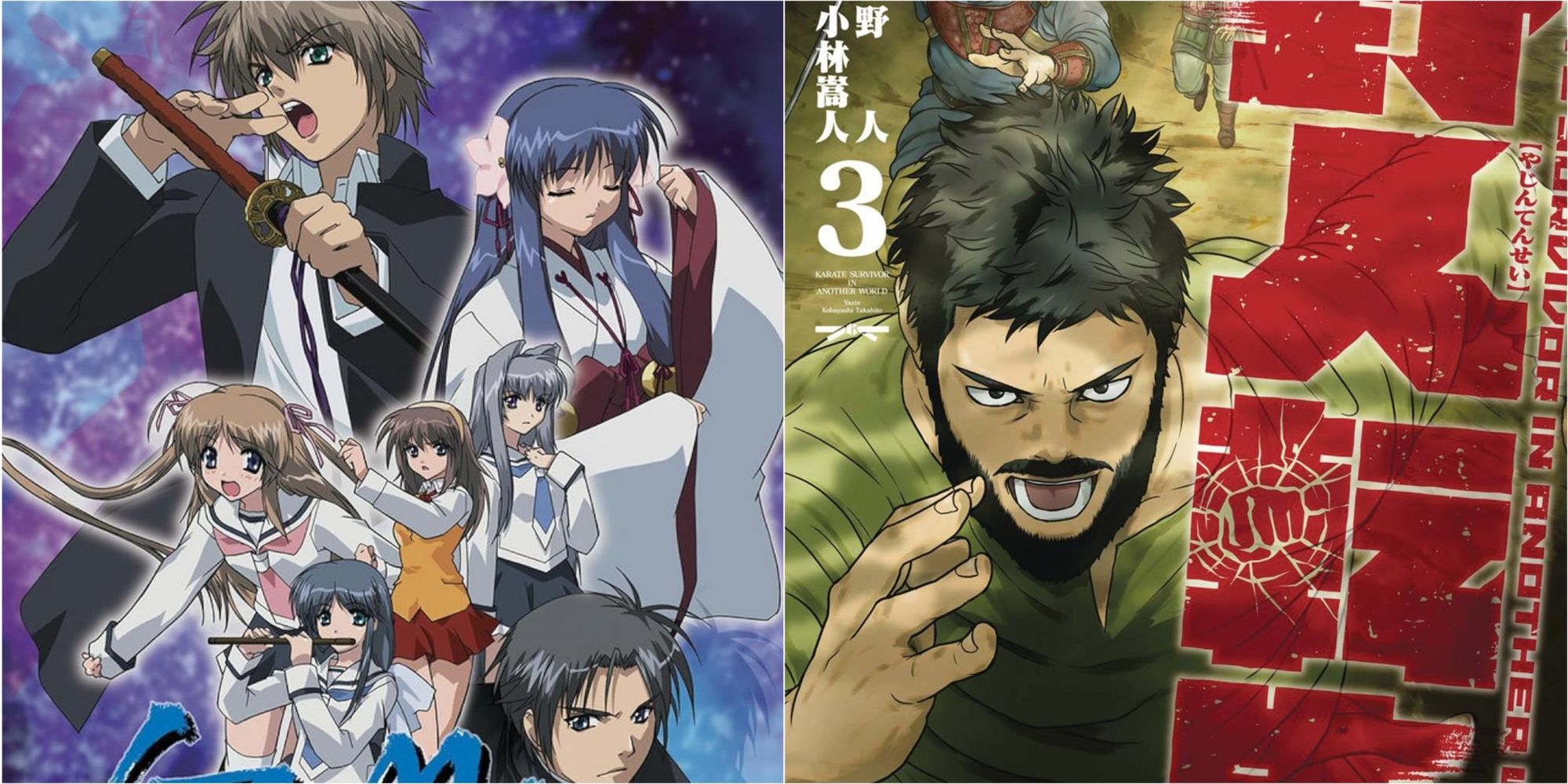 Isekai Anime and Manga With a Martial Art Master Protagonist
