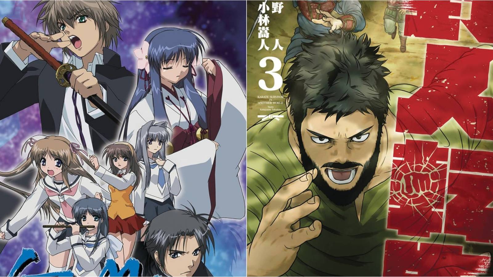 Isekai Anime and Manga With a Martial Art Master Protagonist