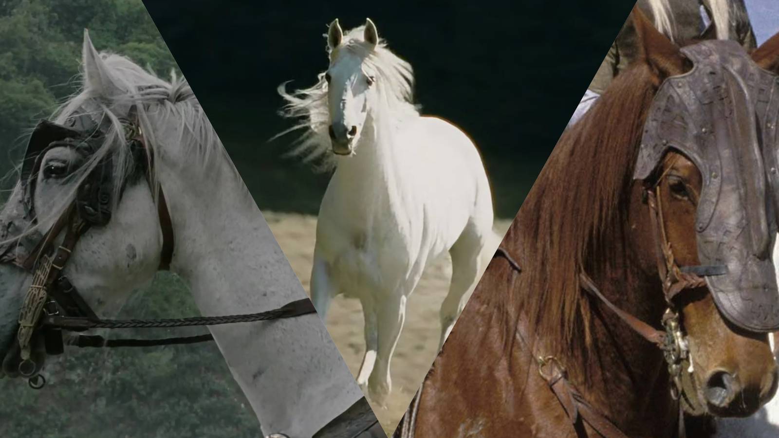 A 3-split image of three horses from Lord of the Rings