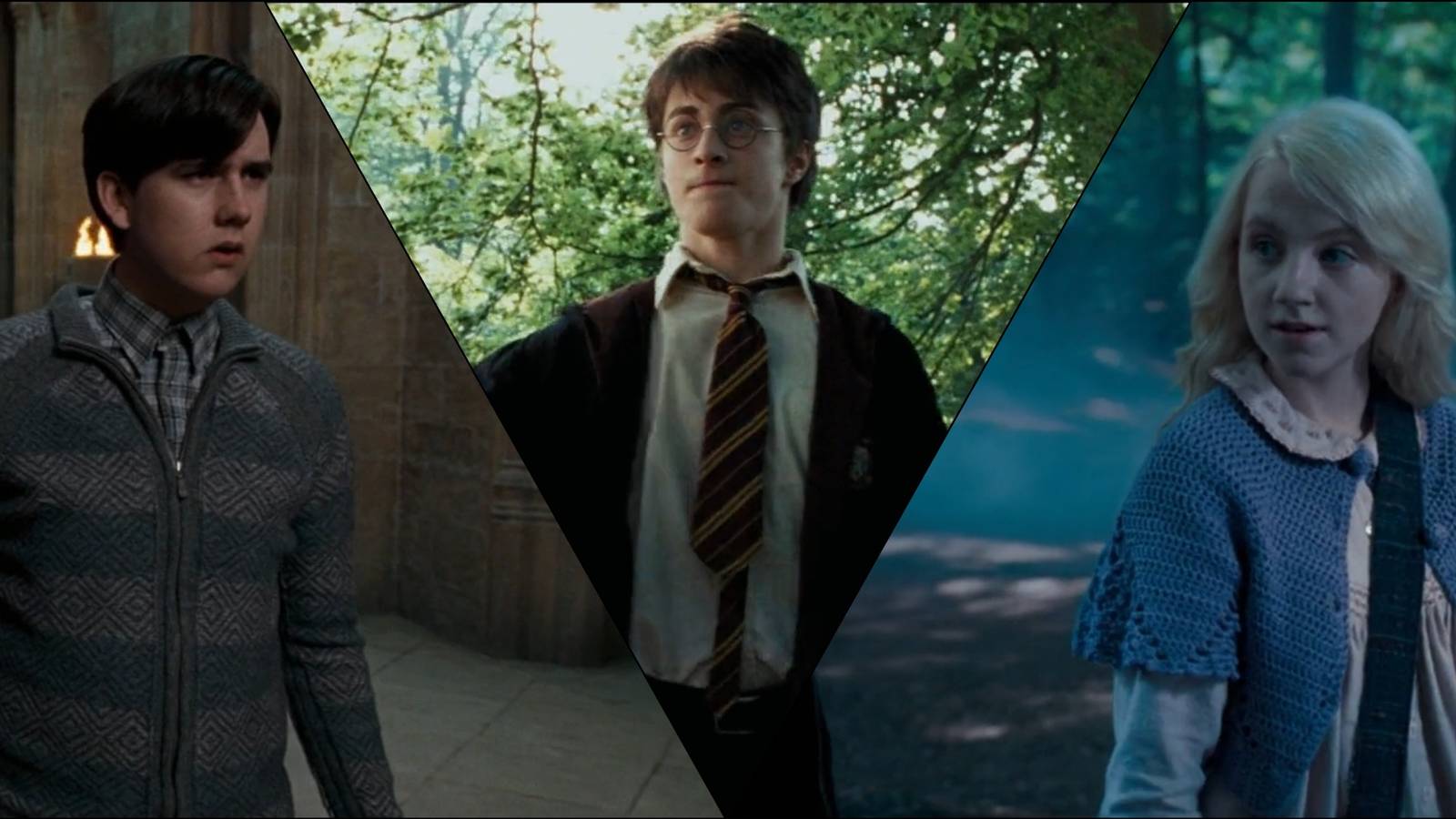 Neville, Harry, and Luna in Harry Potter