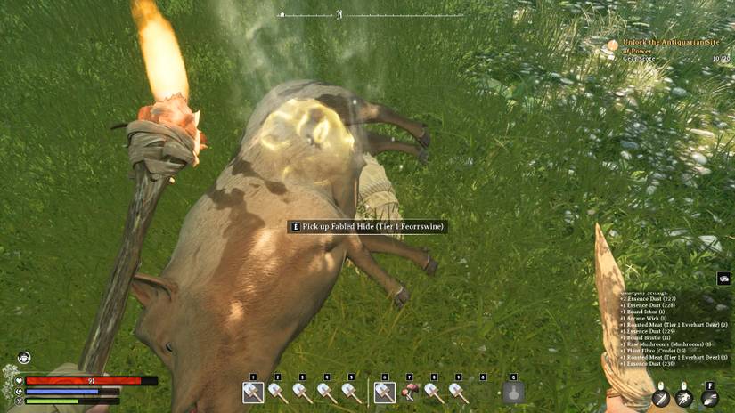 A Nightingale player collecting Hide from a dead animal