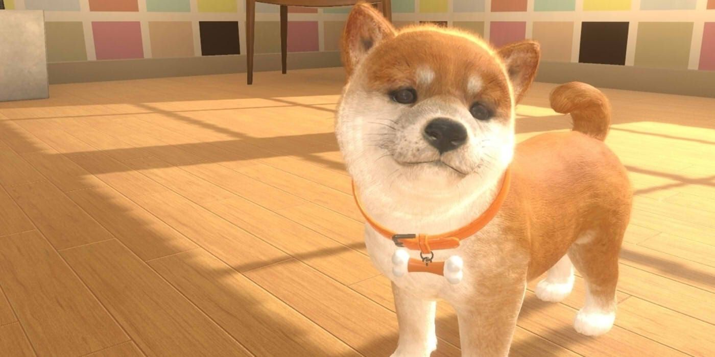 Screenshot of a Shibu puppy in Nintendogs