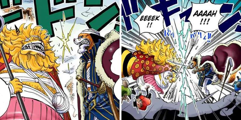 One Piece Inuarashi Nekomamushi Fight