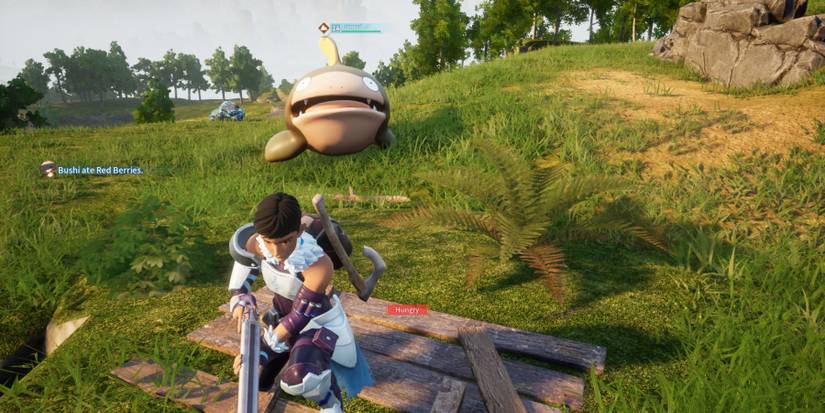 Dumud with the player