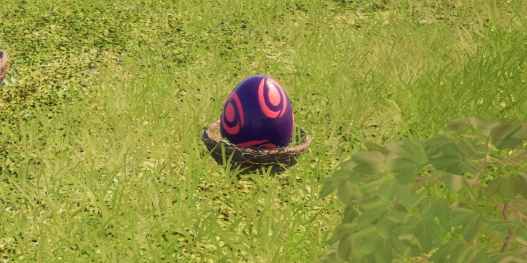 Palworld Egg