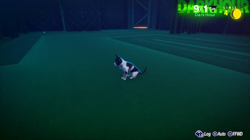 Persona 3 Reload Missing Cat
