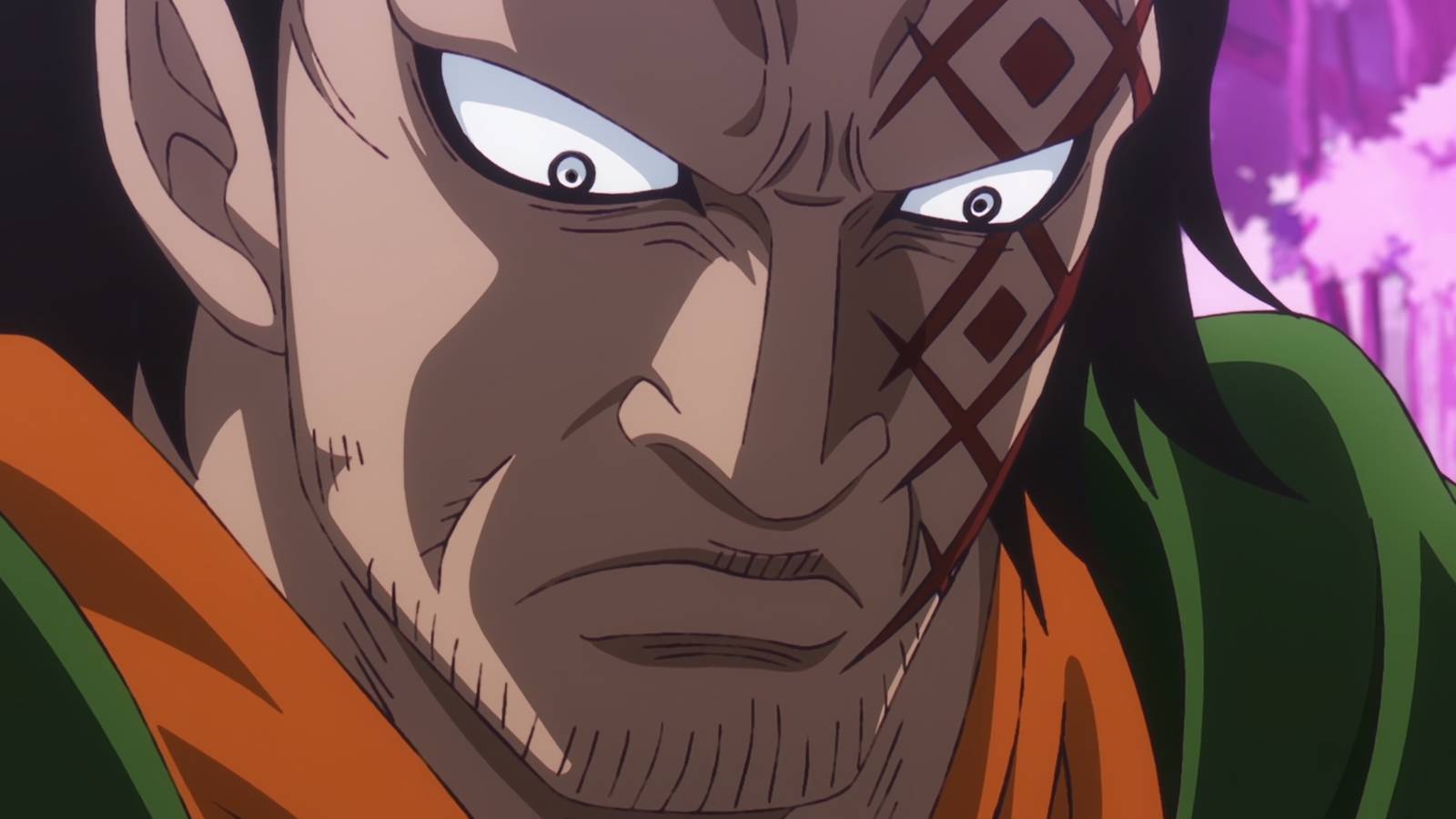 Monkey D. Dragon from One Piece