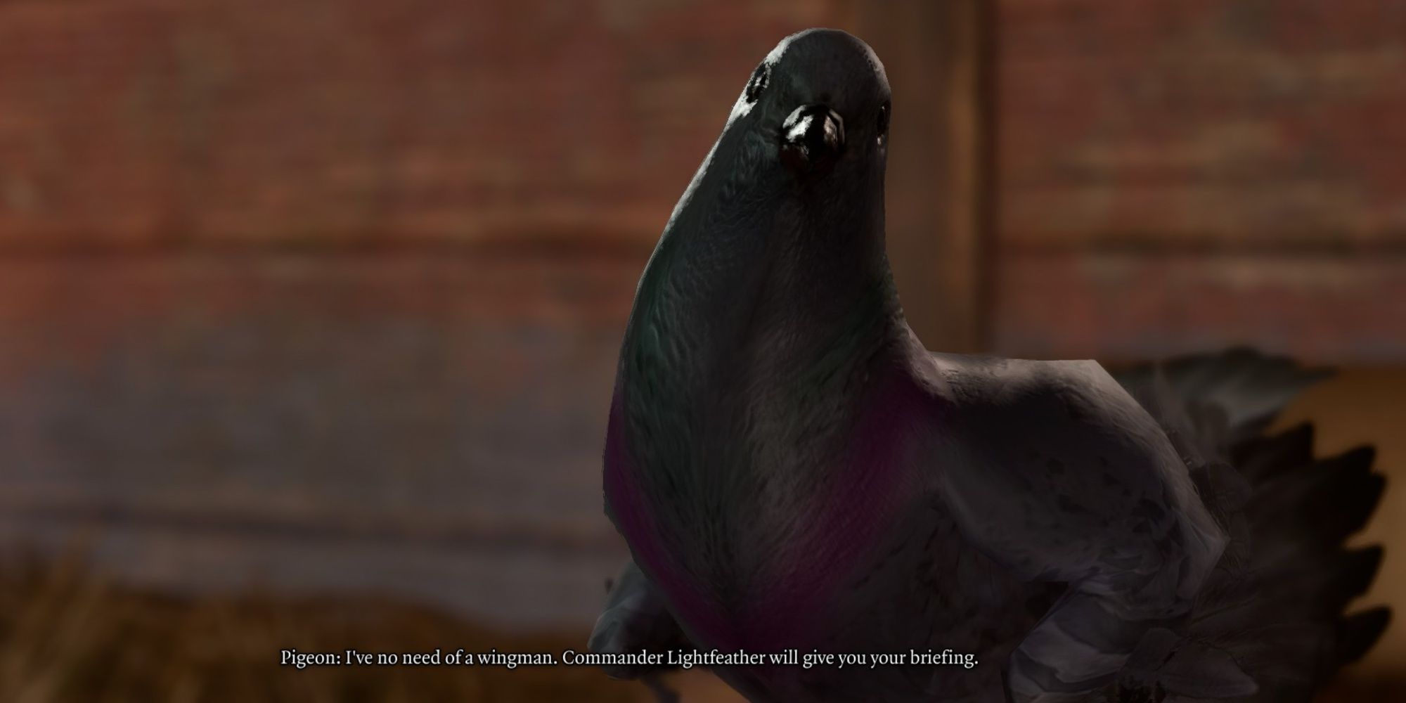 Как получить очко вдохновения зачисленных птиц в Baldur's Gate 3