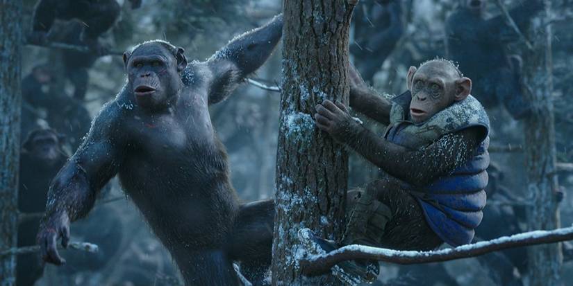 planet-of-the-apes-bad-ape-and-rocket