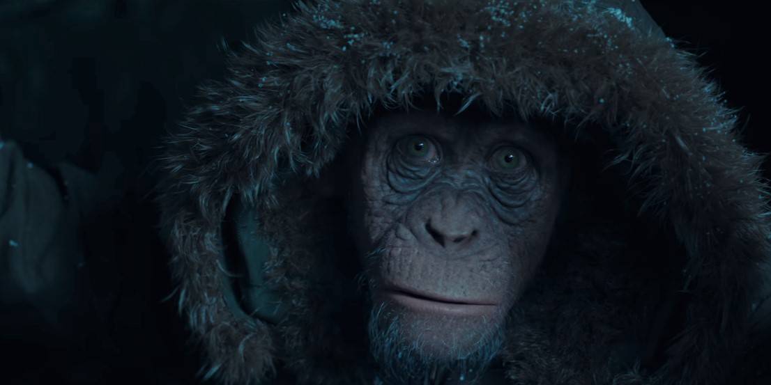 planet-of-the-apes-bad-ape-in-coat
