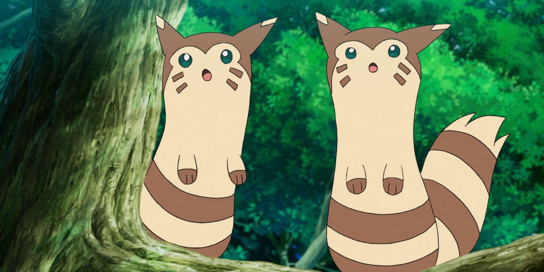 pokemon-furret