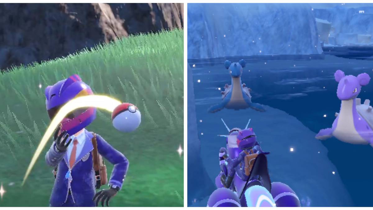 Pokemon Shiny Hunting Methods