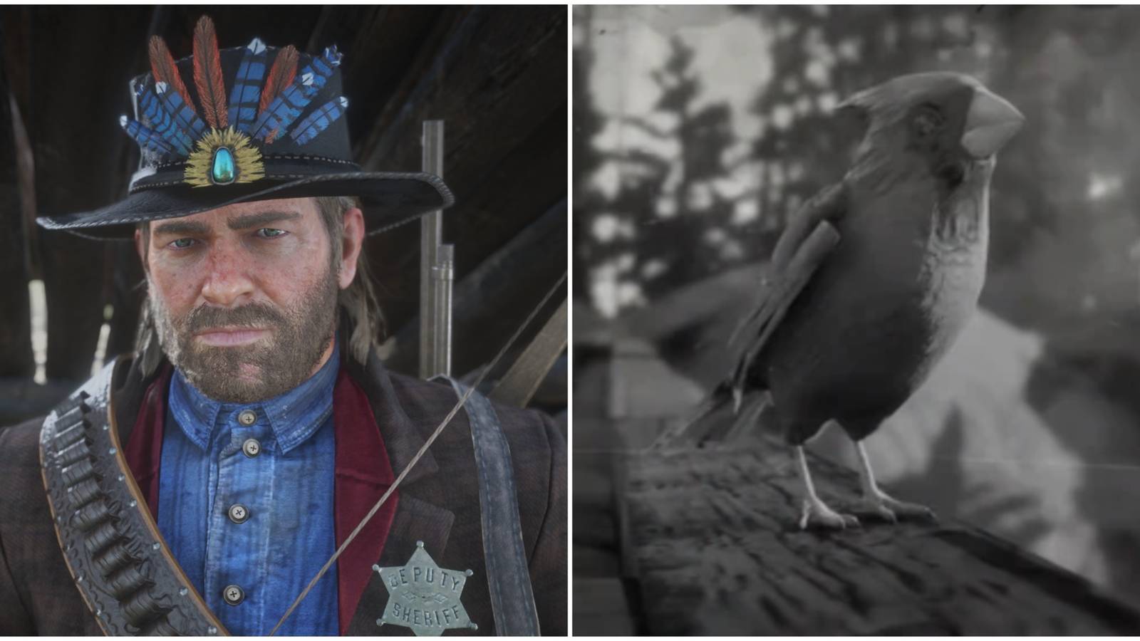 legendary beaver flop hat and northern cardinal bird compendium entry red dead redemption 2