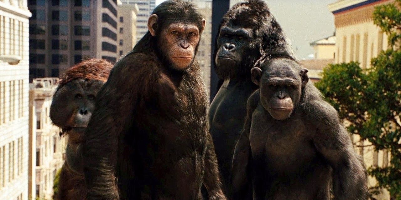 rise-of-the-planet-of-the-apes-caesar-buck-maurice-rocket