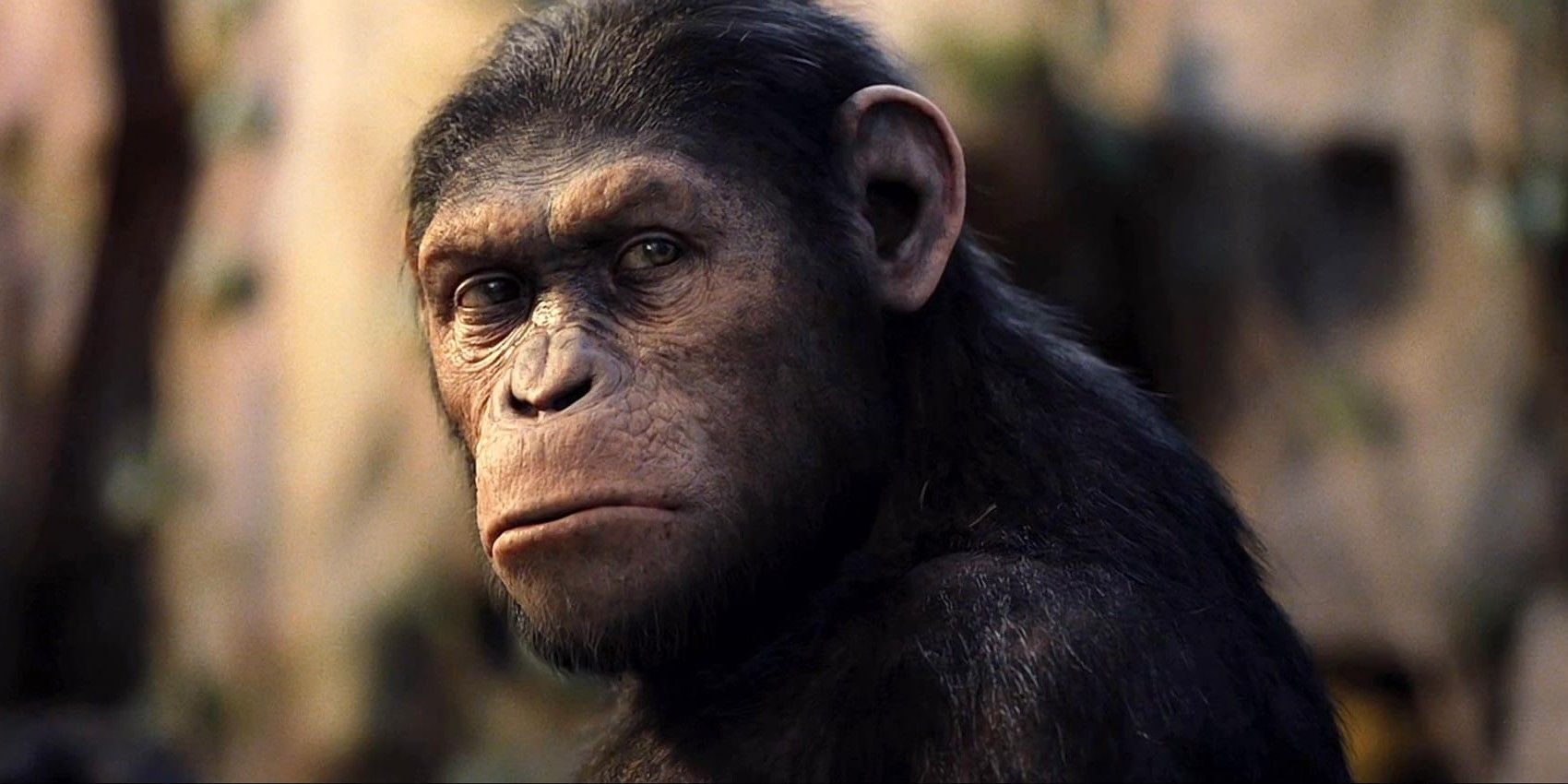 rise-of-the-planet-of-the-apes-caesar