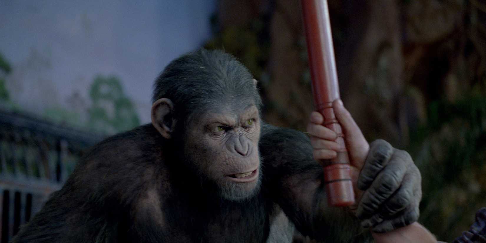 Caesar grabbing a human's wrist in Rise Of The Planet Of The Apes