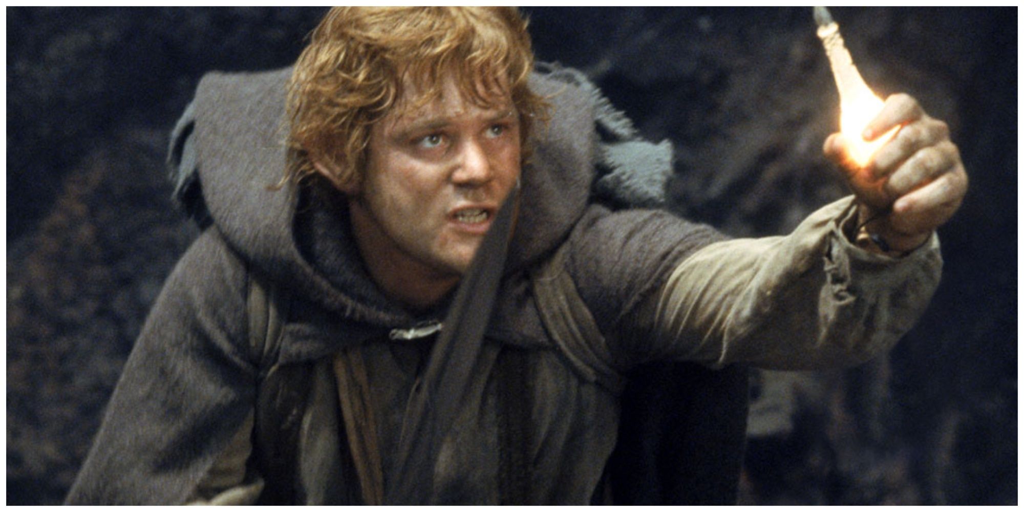 Sam Lord of the Rings