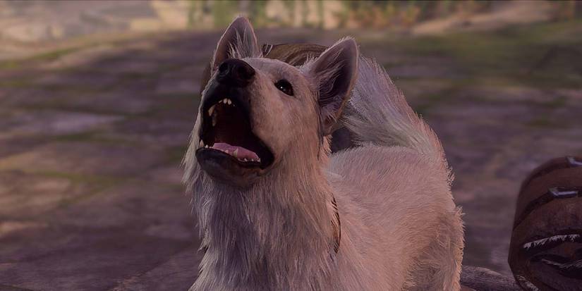 Scratch from Baldur's Gate 3