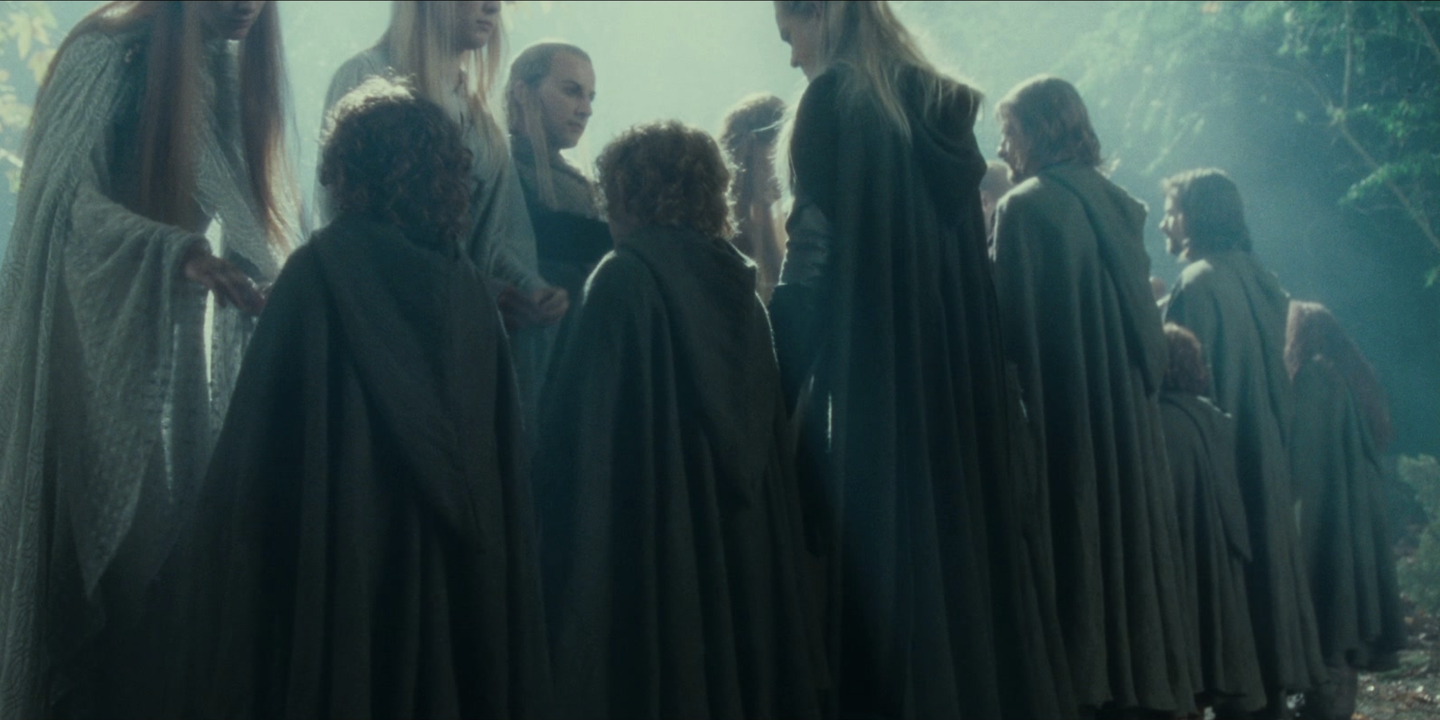 The fellowship in a line with Lothlorien elves