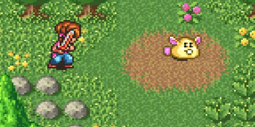 Hero approaching a Rabite 