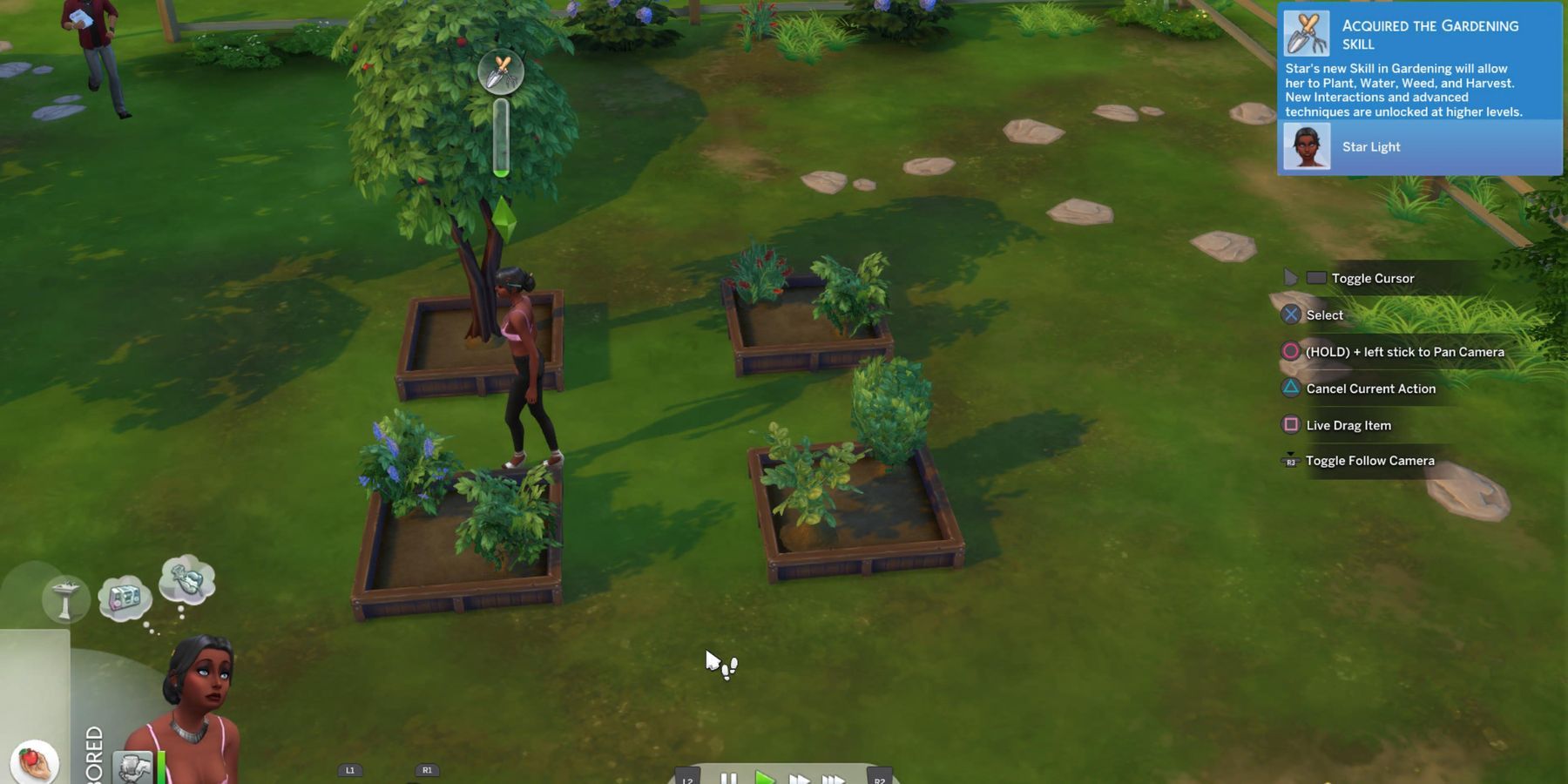 sims 4 plant trees