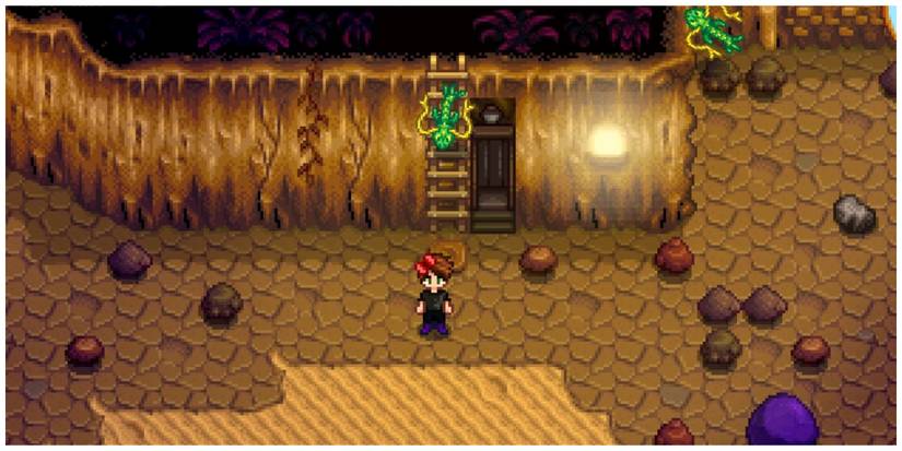 Skull Cavern Elevator