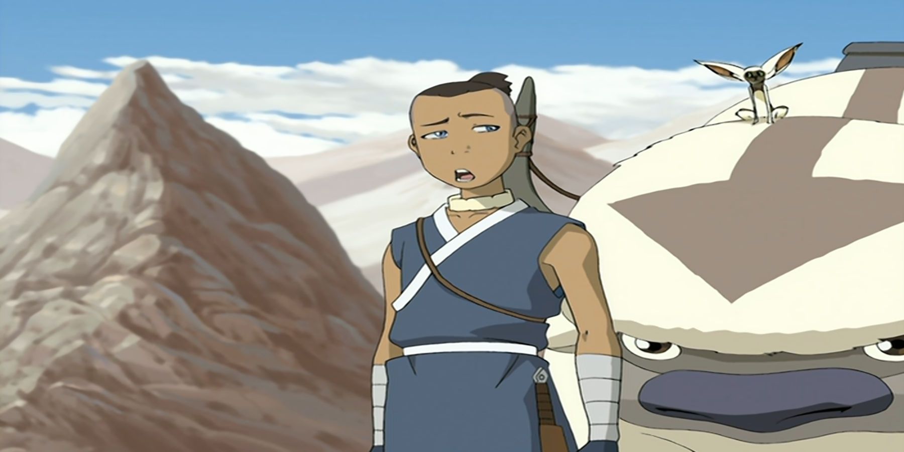 Sokka in Avatar the Last Airbender