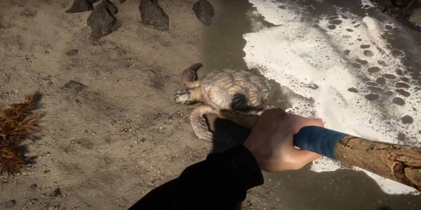 killing a turtle in sons of the forest 