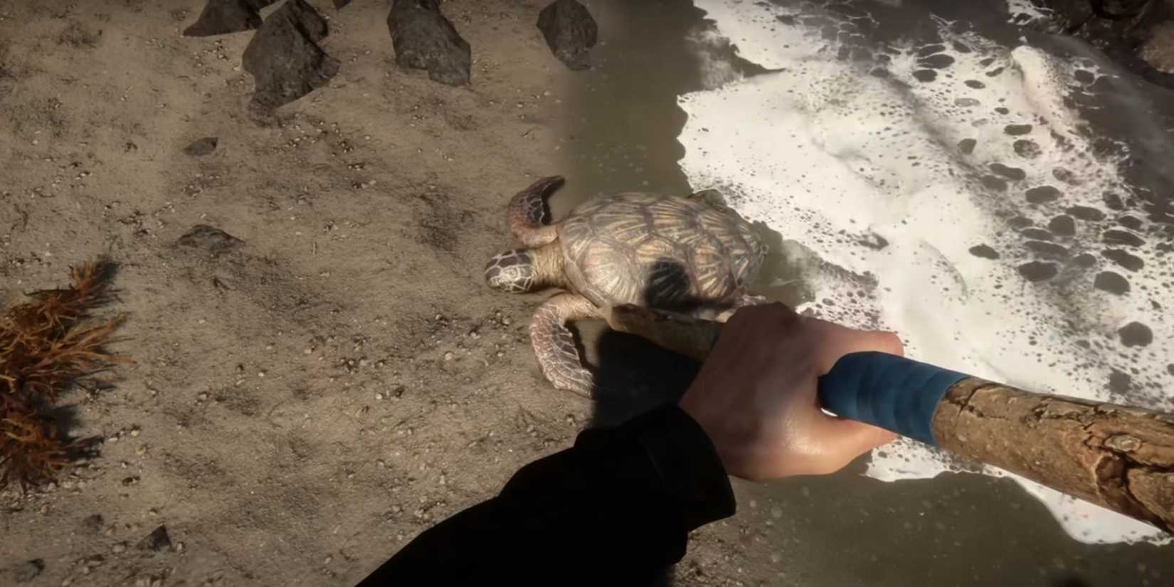 Turtle Shell Forest Sons Of The Forest: How To Get Turtle Shells