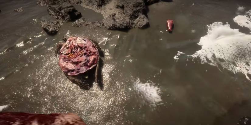 a hunted turtle in sons of the forest.