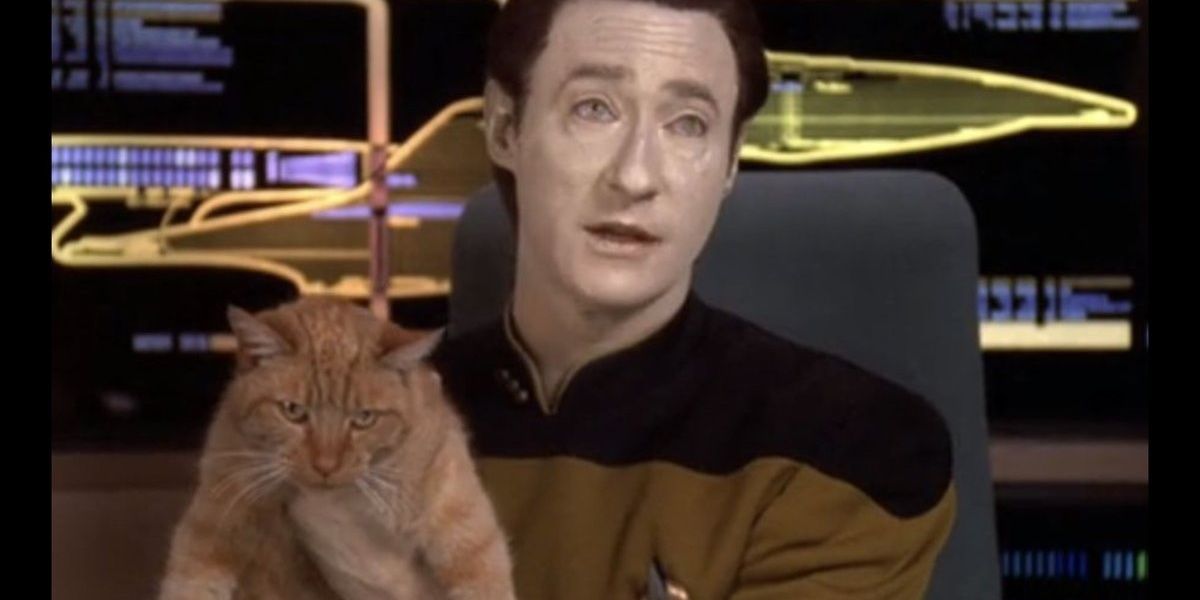 spot-star-trek-data Cropped