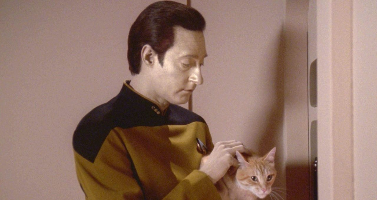 star-trek-data-spot Cropped