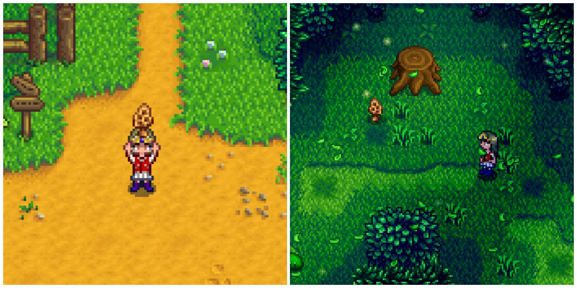 Split image of a character holding a Morel and a character visiting the secret woods in Stardew Valley