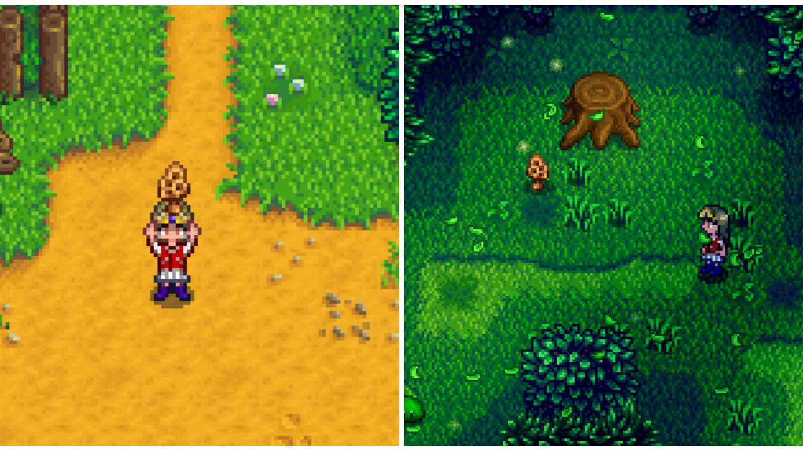 Split image of a character holding a Morel and a character visiting the secret woods in Stardew Valley
