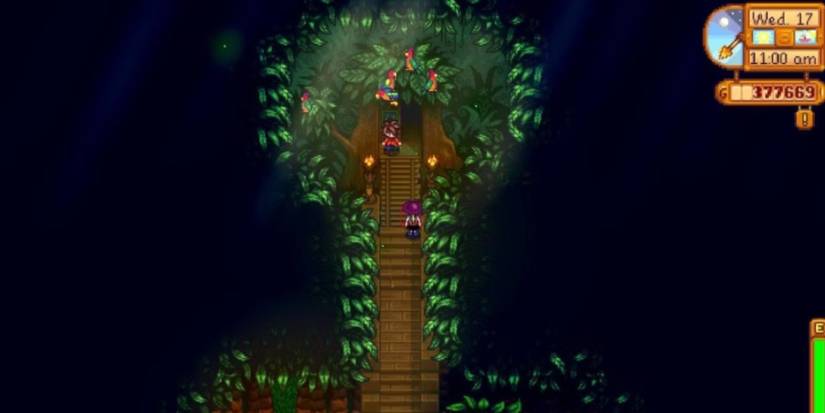 Leo's treehouse with four parrots and the player climbing the stairs to see him.