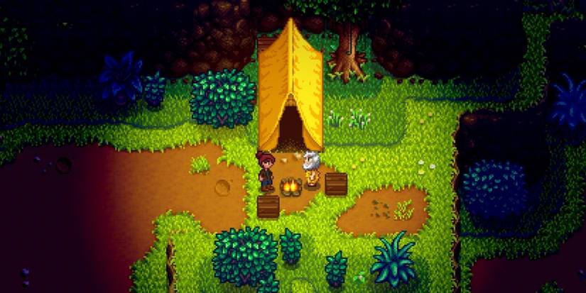 Linus and the player standing outside his tent at night.