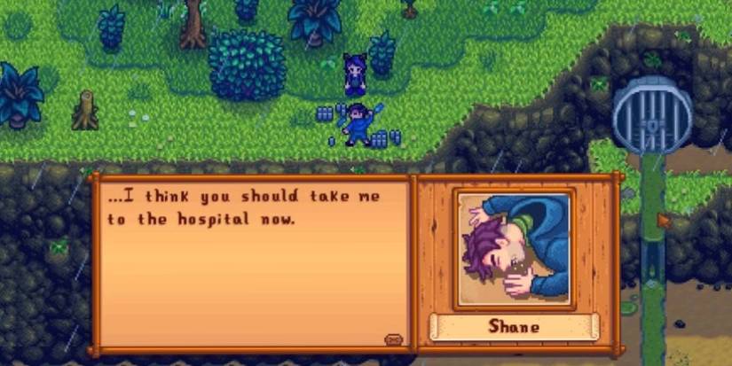 Shane asking the player to take him to the hospital during his clifftop event.